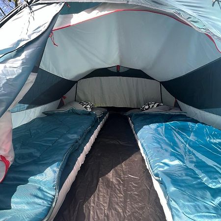 The Esn Kingsday Campsite Amsterdam Luaran gambar